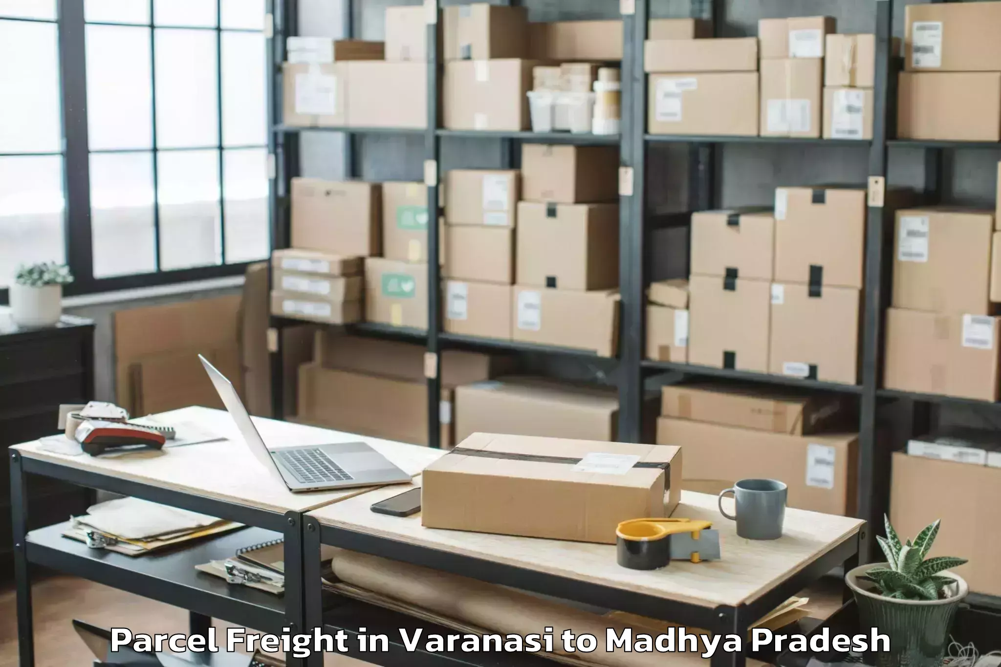 Professional Varanasi to Sanwer Parcel Freight